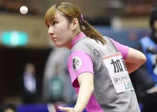 芒特世界波 芒特世界波